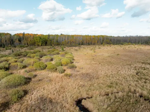 TBD Moilan Rd, Eveleth, MN 55734