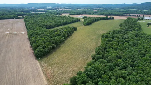 498B John Hunter Hwy, Elora, TN 37328