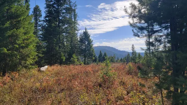 NKN Green Rd, Newport, WA 99156