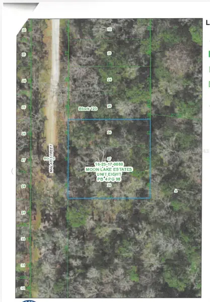 MALATI ST, New Port Richey, FL 34654