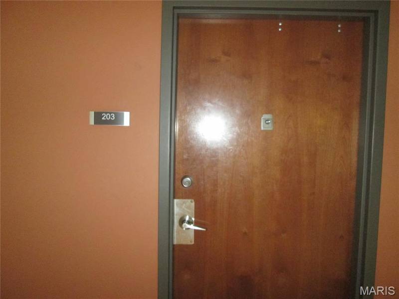 1520 Washington AVE #203, St Louis, MO 63103