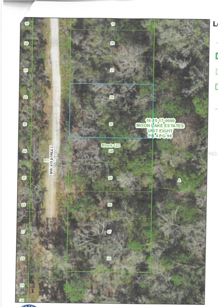 MALATI ST, New Port Richey, FL 34654