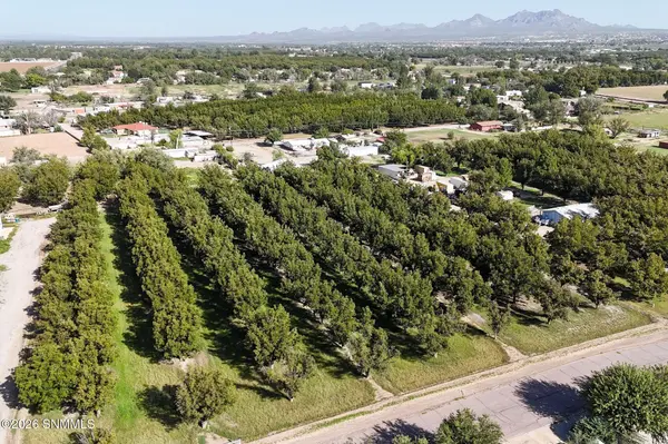 TBD W Calle Contento, Las Cruces, NM 88007
