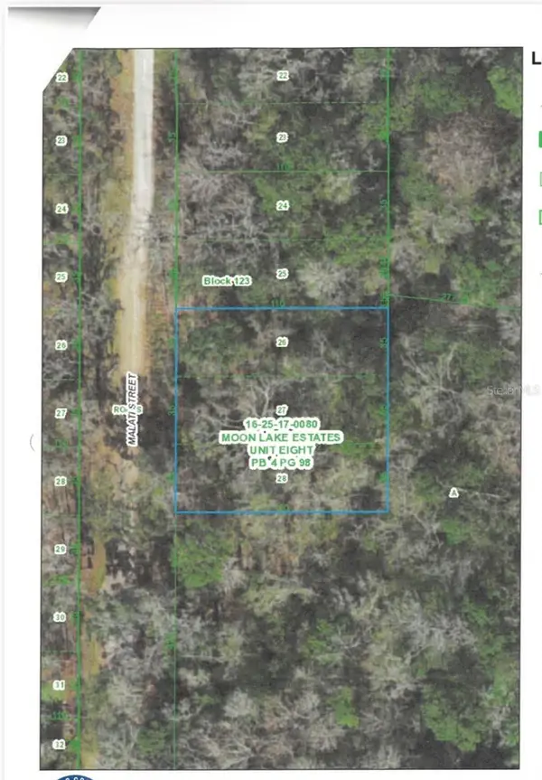 MALATI ST, New Port Richey, FL 34654
