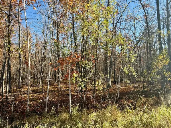 82052 Schoumaker RD, Willow River, MN 55795