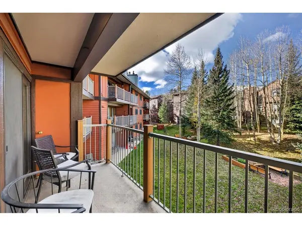 105 S Park #214, Breckenridge, CO 80424