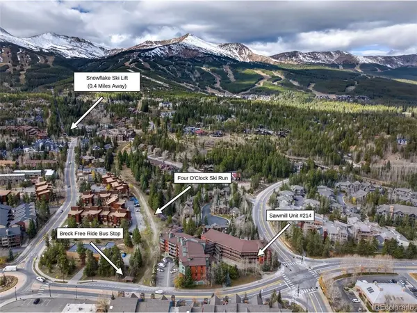 105 S Park #214, Breckenridge, CO 80424
