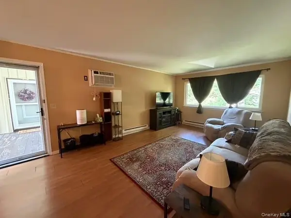 46 Patterson Village CT, Patterson, NY 12563