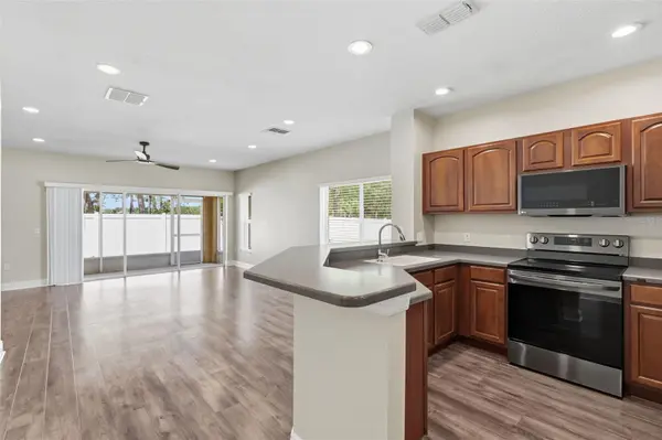 20484 NEEDLETREE DR, Tampa, FL 33647