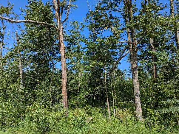 1882 Timber RD, Calmar, IA 52132