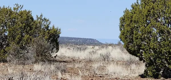 644 Cortez Ranch Rd, Ash Fork, AZ 86320
