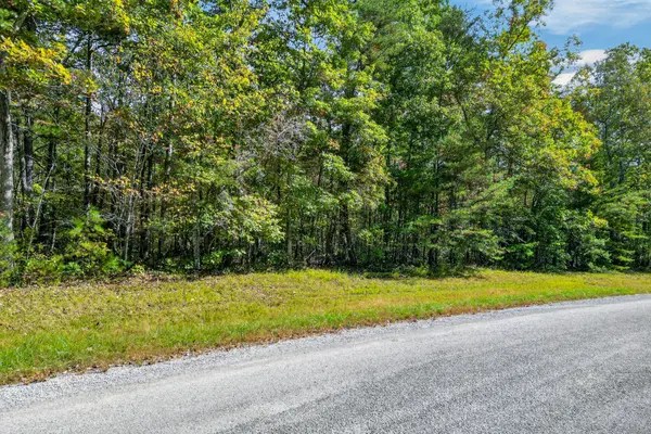 14 N Laurel Loop, Monterey, TN 38574