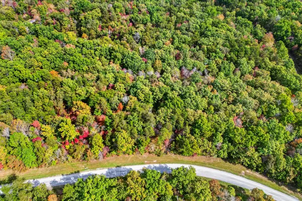 14 N Laurel Loop, Monterey, TN 38574