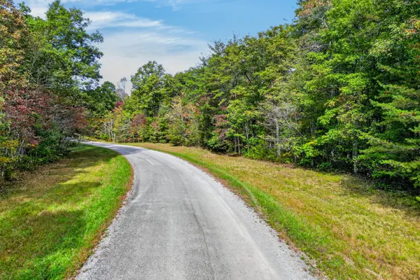 14 N Laurel Loop, Monterey, TN 38574