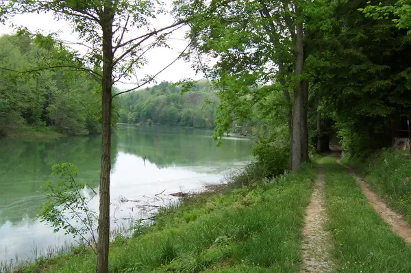 0 Bear Den Trail, Grandview, TN 37337