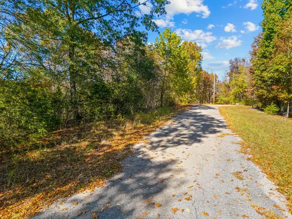 Lot 45 Summit Lane, Cape Fair, MO 65624
