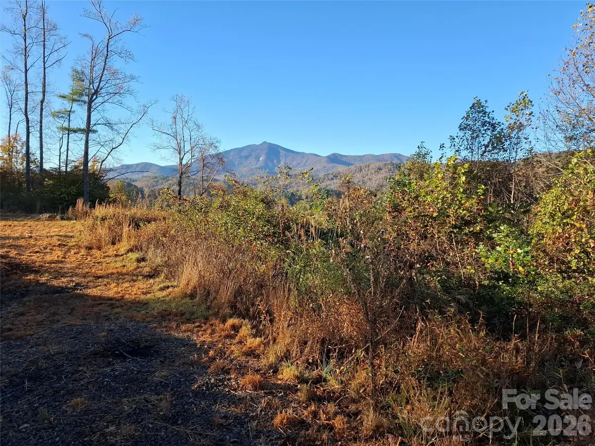 1 River Crest #1, Burnsville, NC 28714
