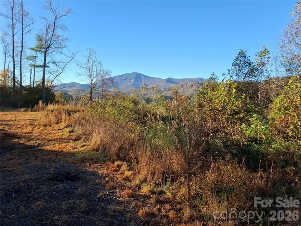 1 River Crest #1, Burnsville, NC 28714