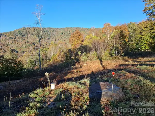 1 River Crest #1, Burnsville, NC 28714