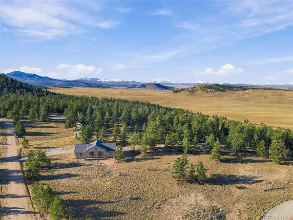 59 Whip, Hartsel, CO 80449