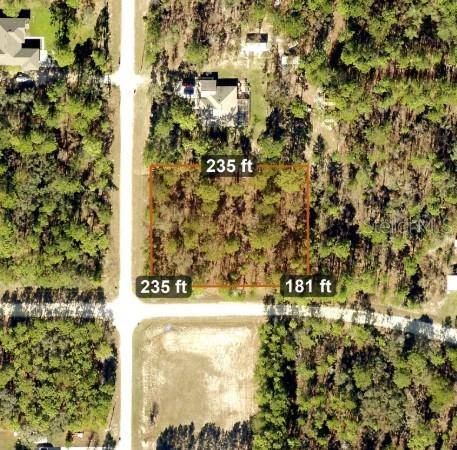 16118 MARSH QUAIL RD, Weeki Wachee, FL 34614