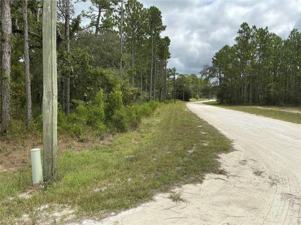 16118 MARSH QUAIL RD, Weeki Wachee, FL 34614