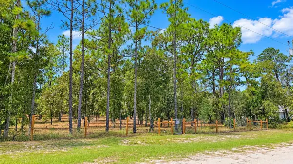 16473 SCAUP DUCK AVE, Brooksville, FL 34614