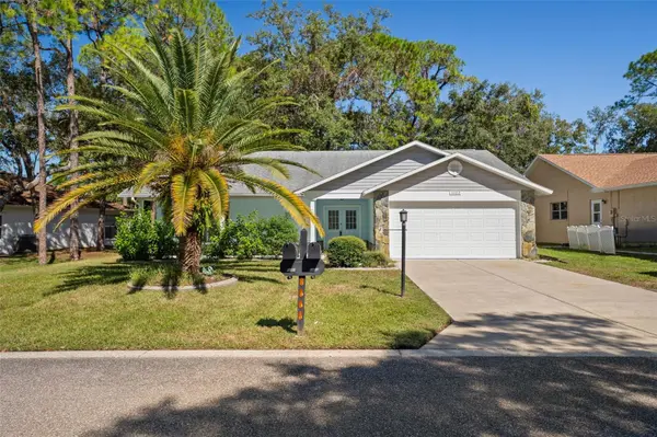 6402 OCEAN PINES LN, Spring Hill, FL 34606