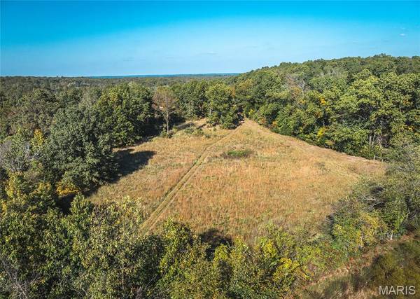 0 Turkey Ridge LN, Steelville, MO 65565
