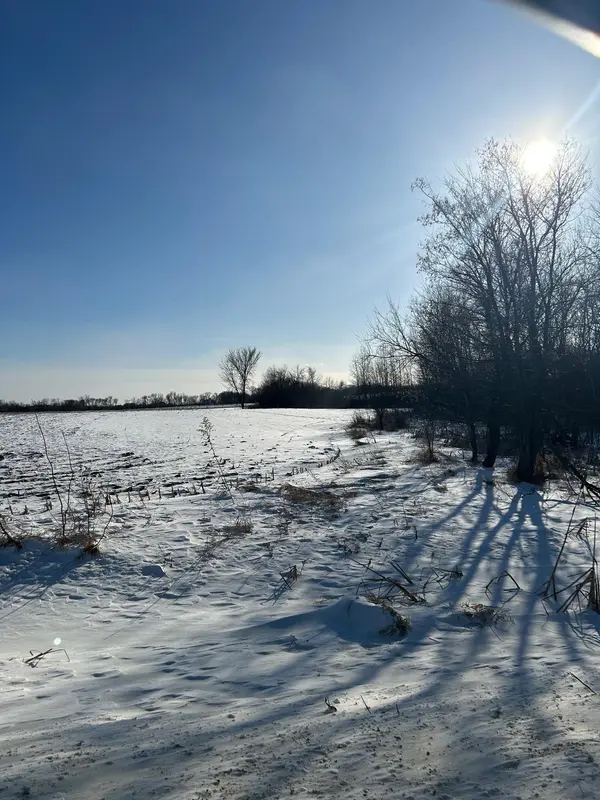 XXXX 285th (180 Acres) ST, Northfield, MN 55057