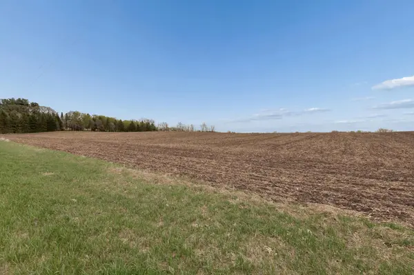 XXXX 285th (180 Acres) ST, Northfield, MN 55057