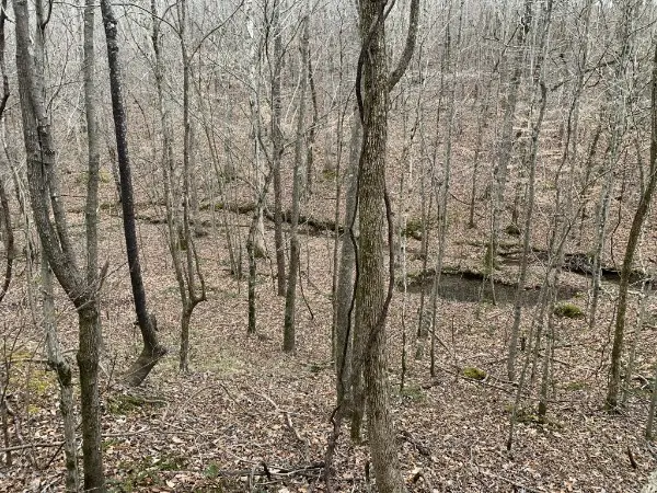 1 West Mackey Rd, Iron City, TN 38463