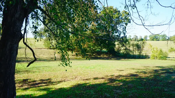 1727 Highway 49 #E, Charlotte, TN 37036