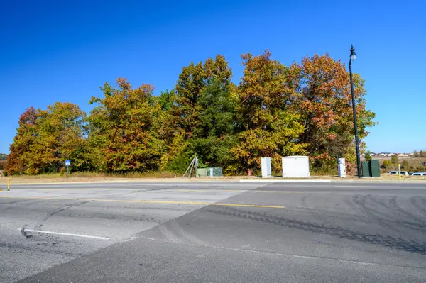 Tract 2 Branson Hills Pkwy, Branson, MO 65616