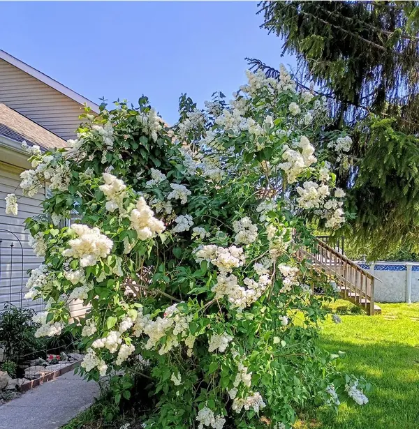 2269 Thurstonia RD, Kawartha Lakes, ON K0M 1L0