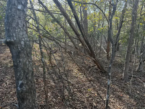 TBD Bali Hai LN, Bastrop, TX 78602