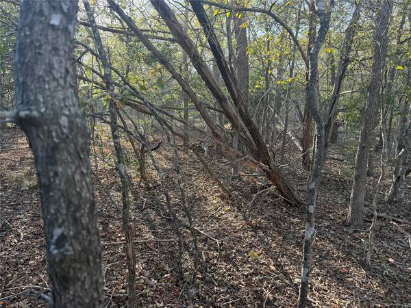 TBD Bali Hai LN, Bastrop, TX 78602