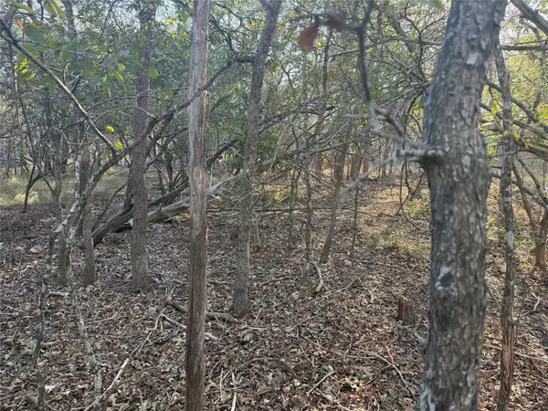TBD Bali Hai LN, Bastrop, TX 78602