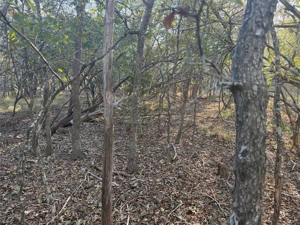 TBD Bali Hai LN, Bastrop, TX 78602