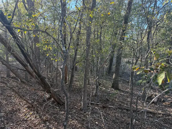 TBD Bali Hai LN, Bastrop, TX 78602