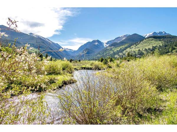 1665 Continental Peaks, Estes Park, CO 80517