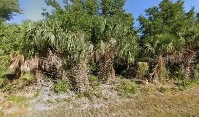 7371 TREADWAY RD, Port Charlotte, FL 33981