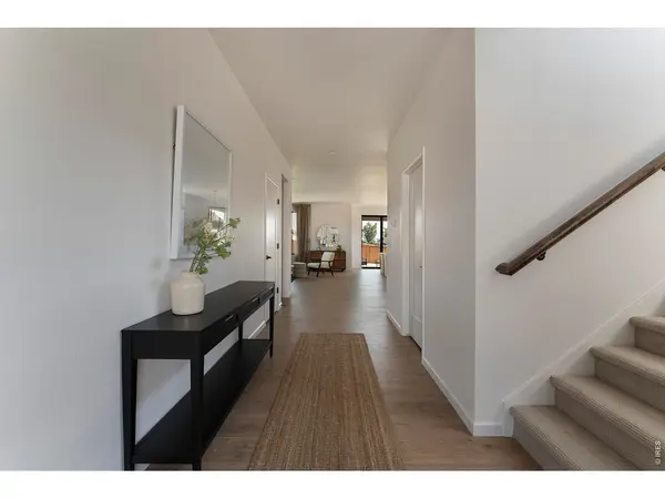 803 Canoe Birch, Windsor, CO 80550