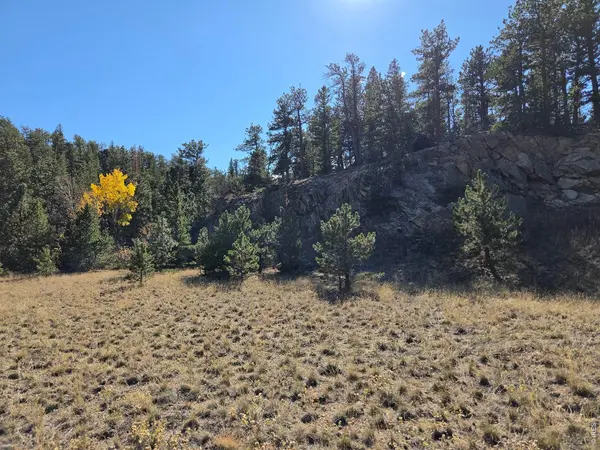 12190 Highway 7, Allenspark, CO 80510