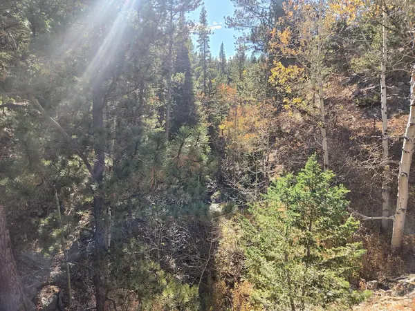 12190 Highway 7, Allenspark, CO 80510
