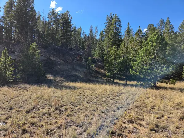 12190 Highway 7, Allenspark, CO 80510