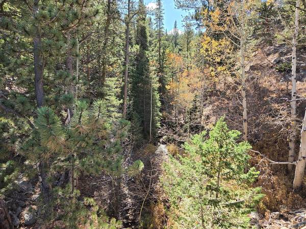 12190 Highway 7, Allenspark, CO 80510
