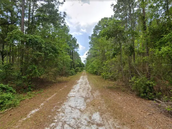 210 SE 1ST ST, Georgetown, FL 32139