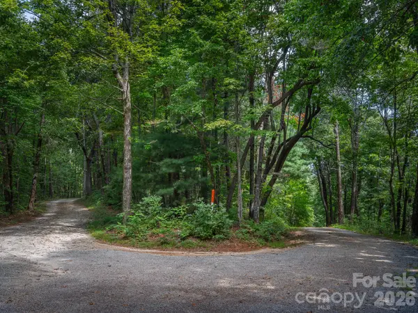 Lot 7 W Chestnut Ridges RD #7, Hendersonville, NC 28739