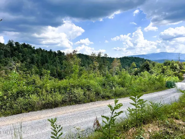 125 Chestnut Mountain Rd, Reliance, TN 37369